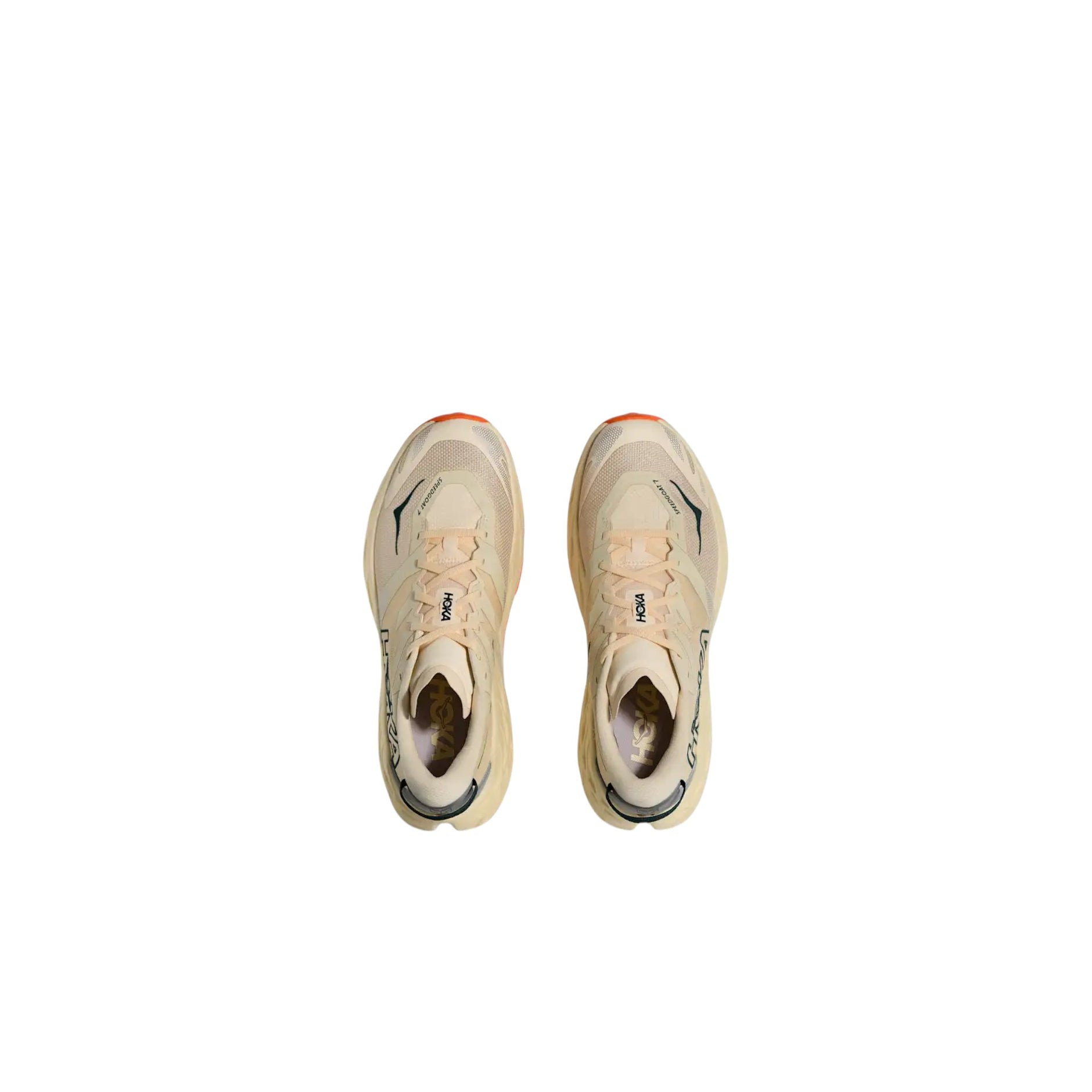 Skechers – Ideal Sport