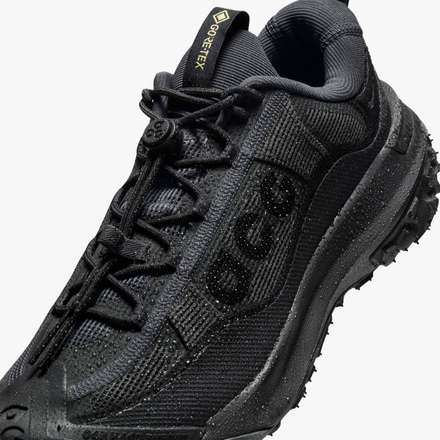 Nike ACG Mountain Fly 2 Low GORE-TEX