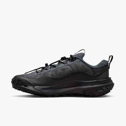 Nike ACG Mountain Fly 2 Low GORE-TEX