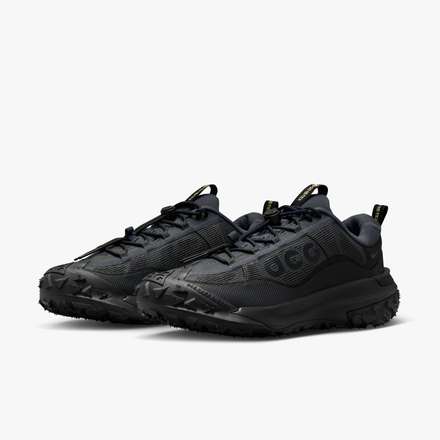 Nike ACG Mountain Fly 2 Low GORE-TEX