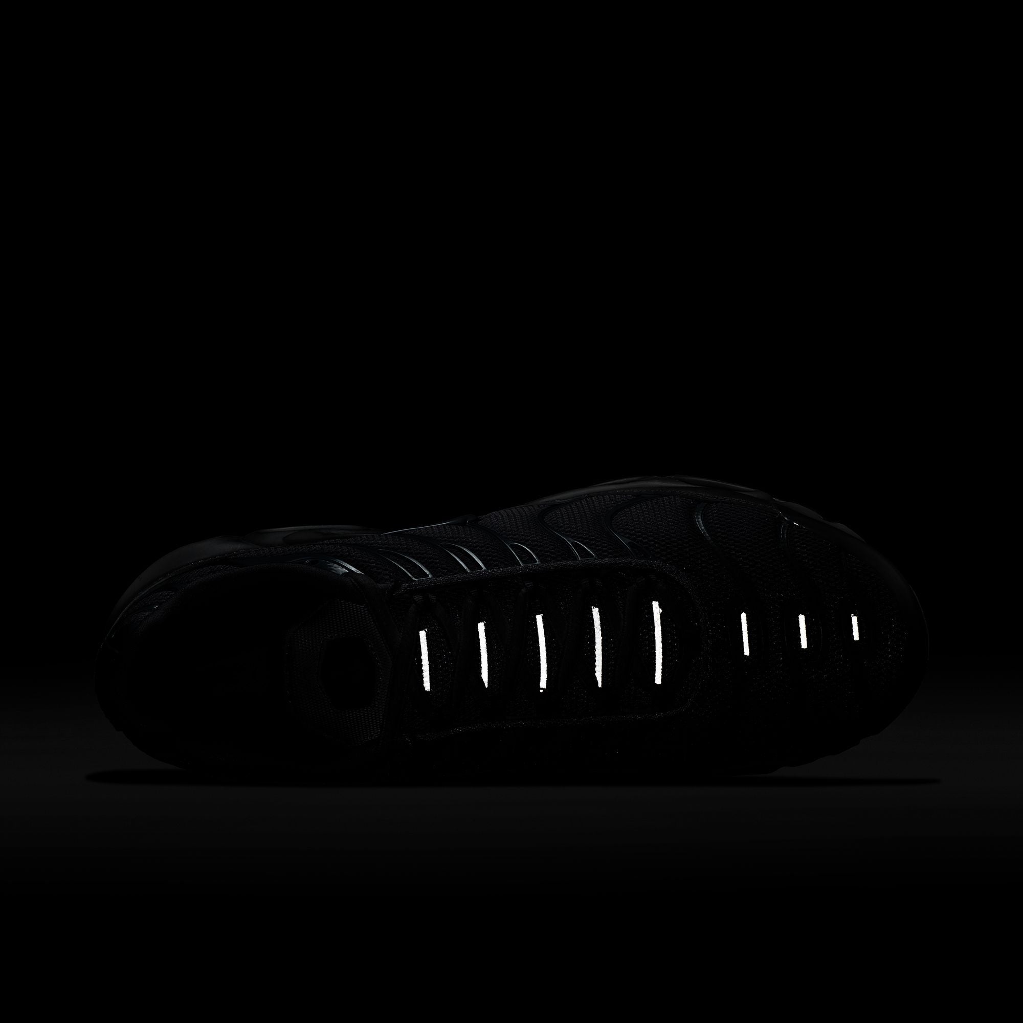 Nike Air Max Plus