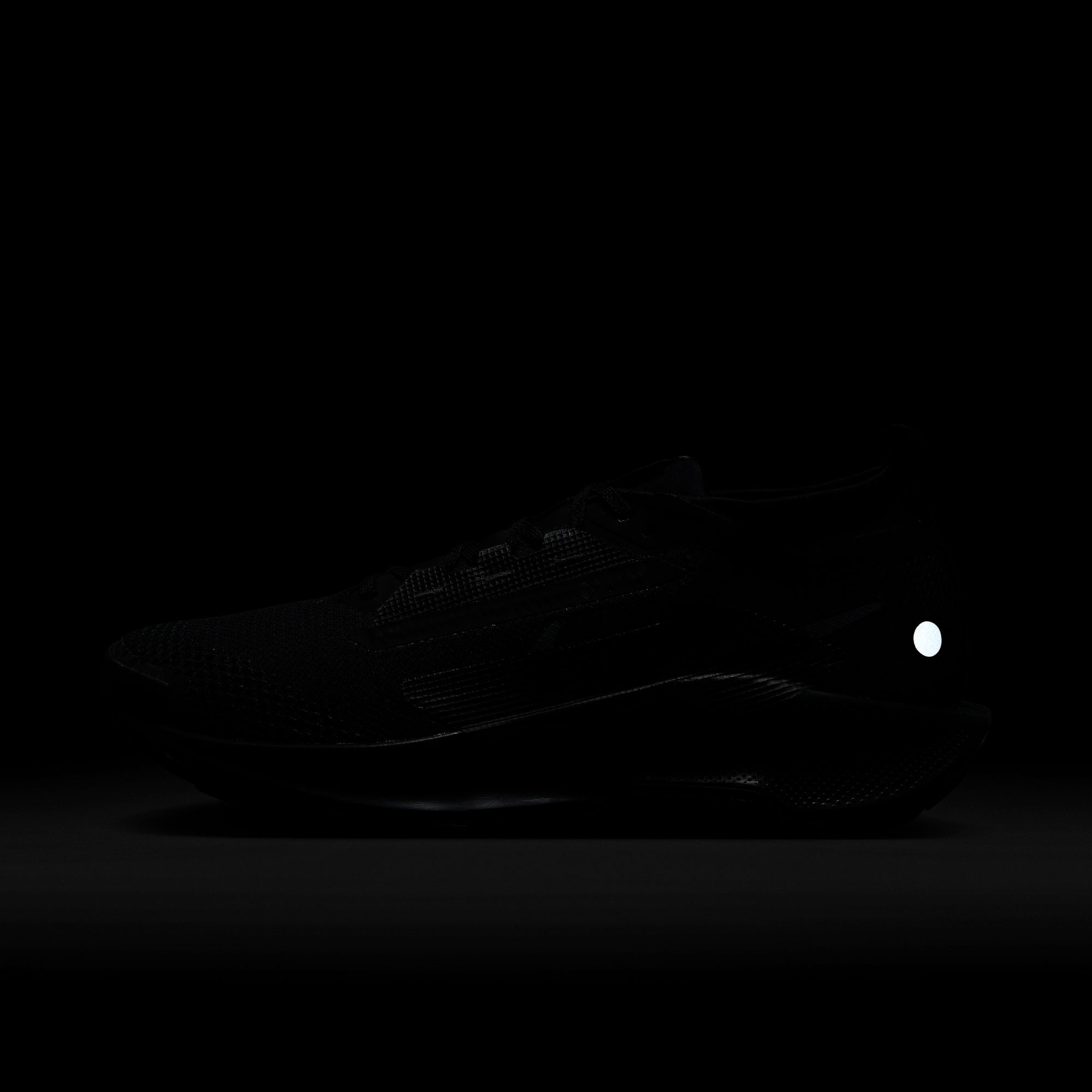 Nike Pegasus Trail 5 GORE-TEX