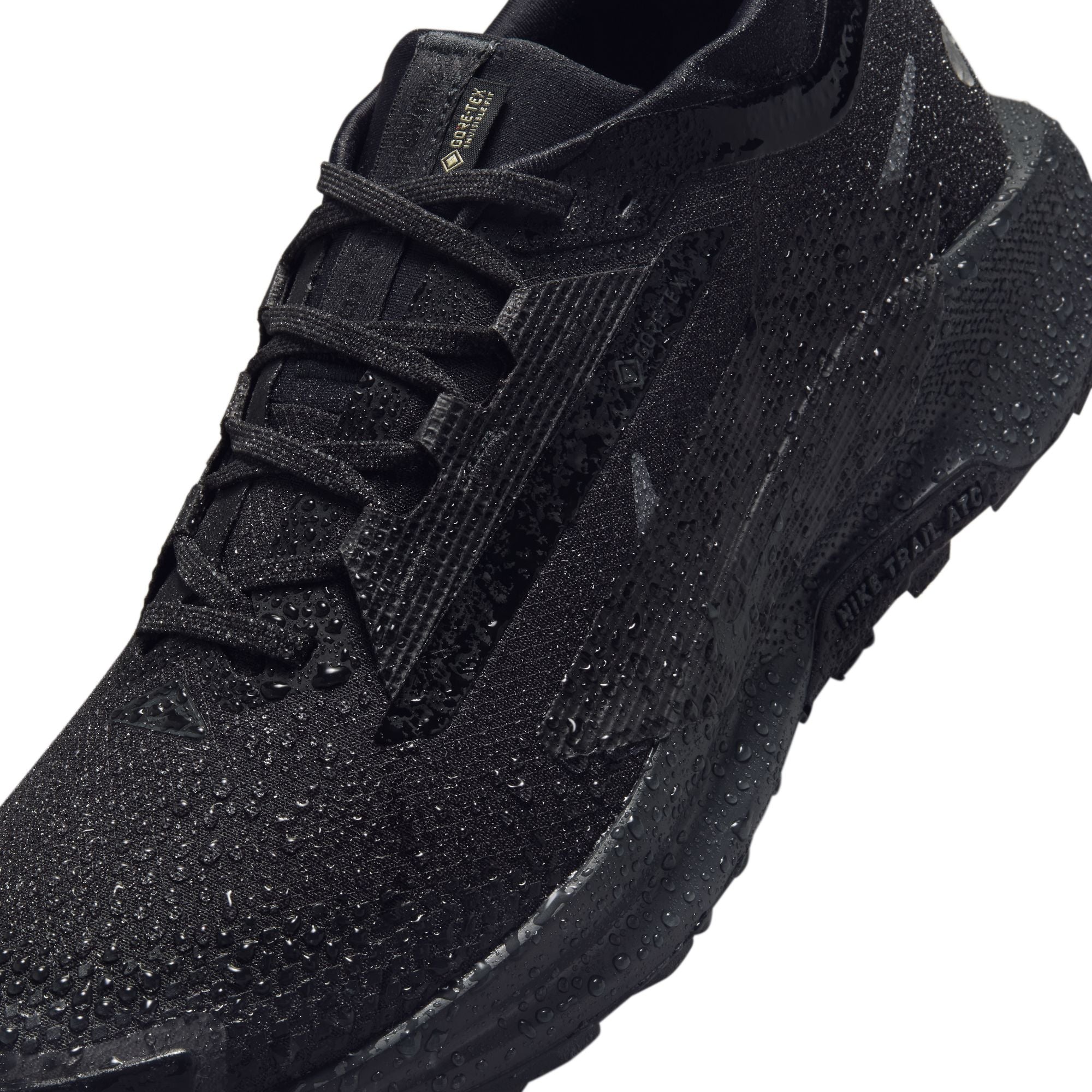 Nike Pegasus Trail 5 GORE-TEX