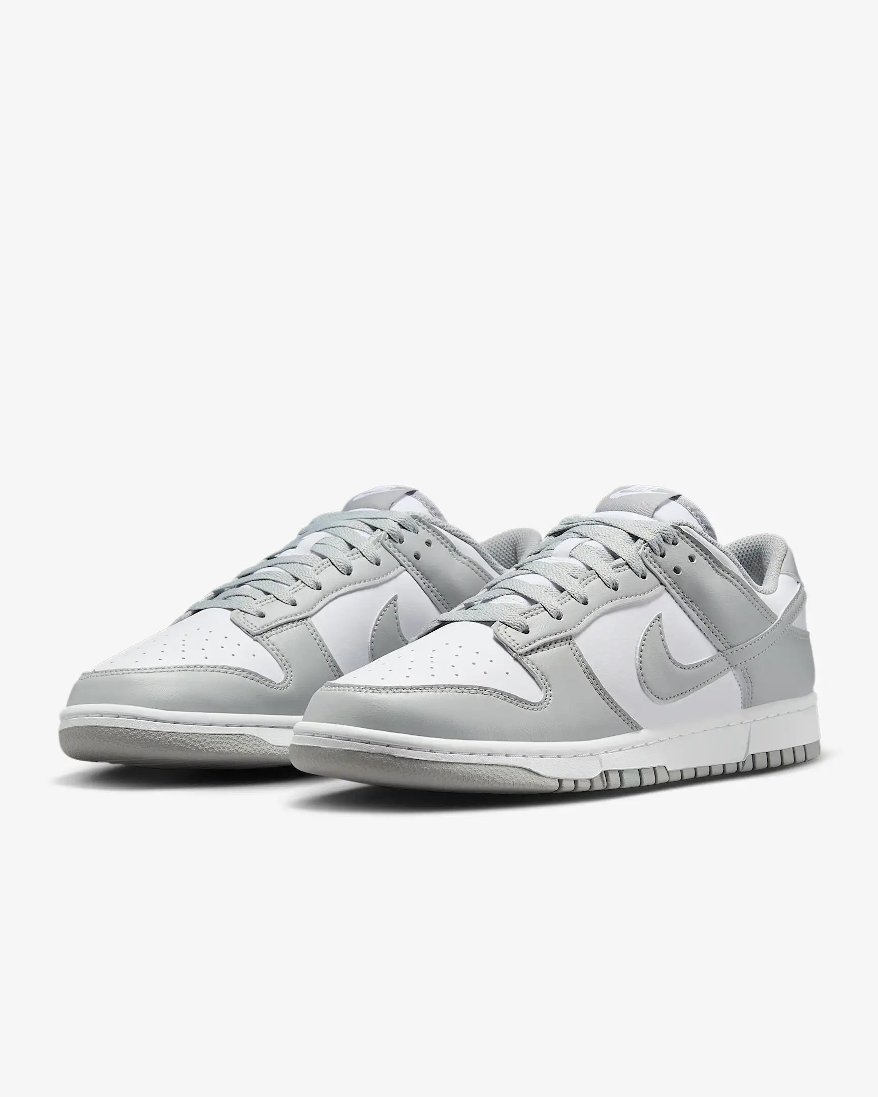 Nike Dunk Low Retro Men's Shoes